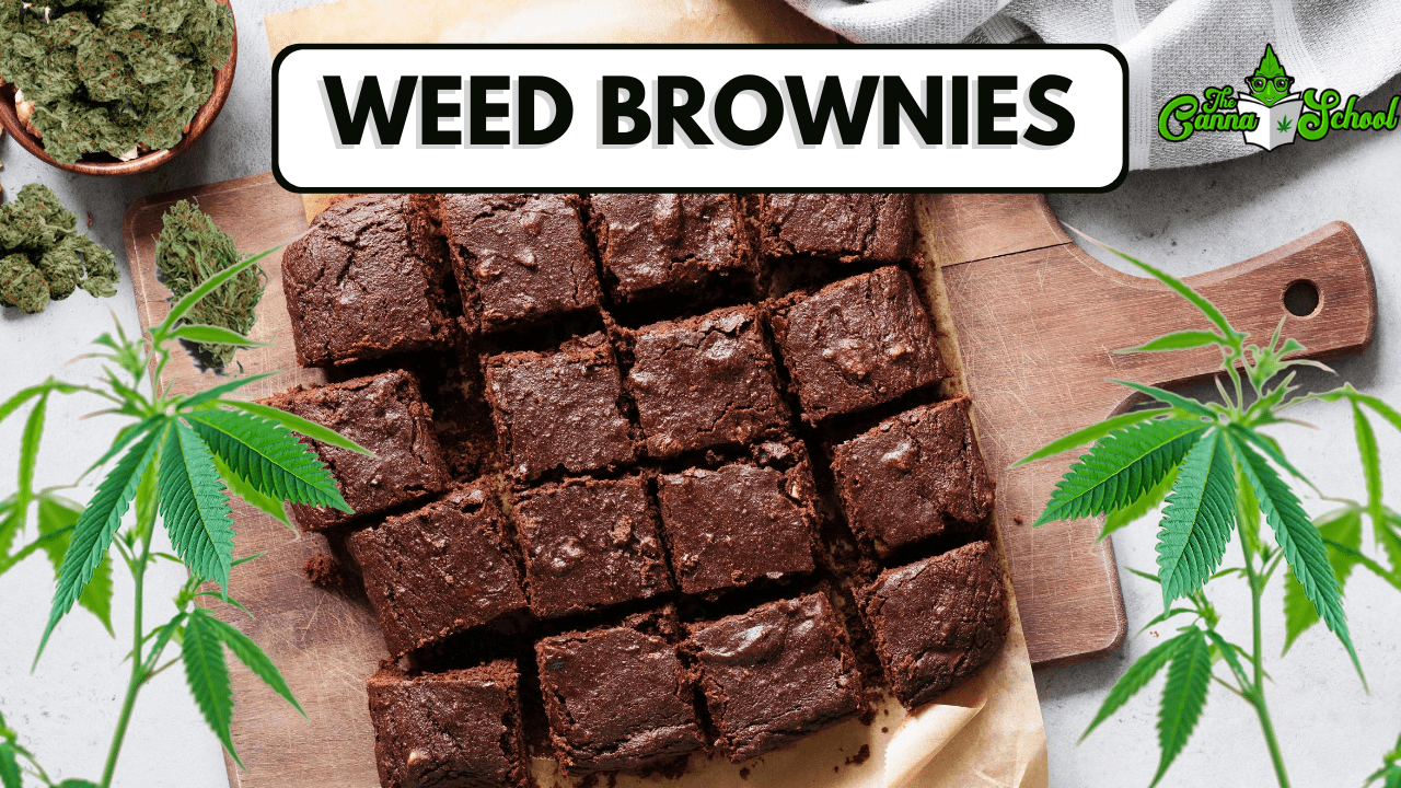 cannabis infused brownie on a wooden cutting board blog header graphic
