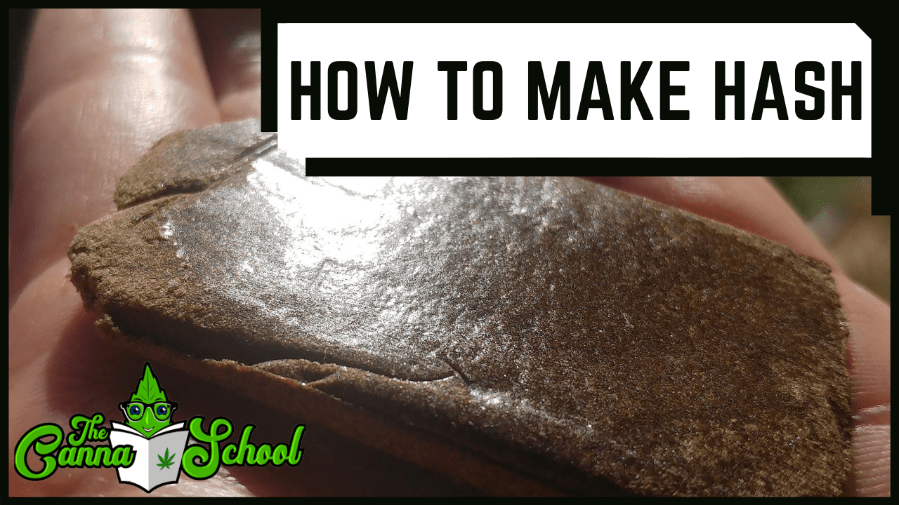 antydning faldskærm porcelæn How to Make Hash – The Cannabis School